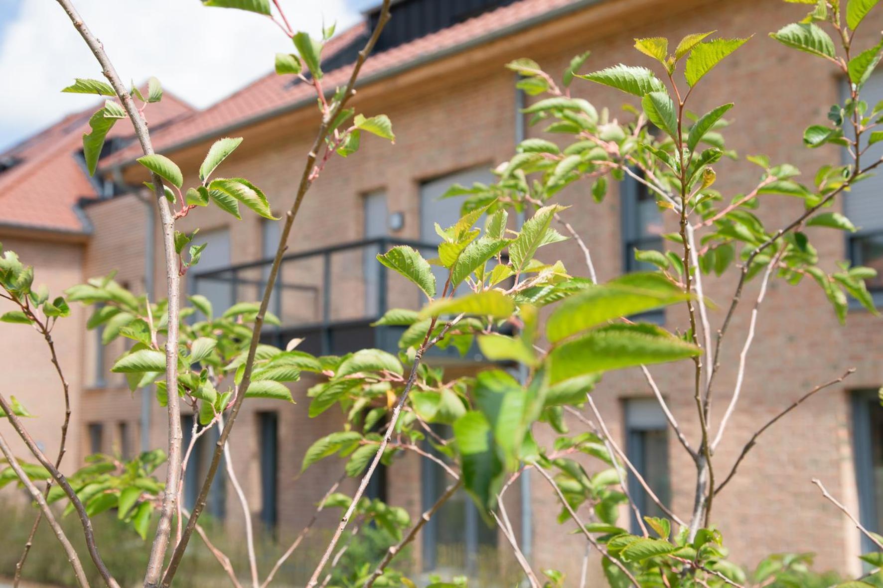 Wohnen Am Suedstrand - Ferienwohnung 0 4 威克奥夫弗尔 外观 照片